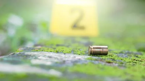 Empty bullet casing on a mossy surface, with a blurred black number 2 in th.. Stock Photos