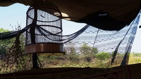 The empty cage for the bird in the tent Vídeo Stock 83001375