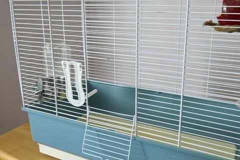 An empty cage for a parrot in close-up 스톡 사진