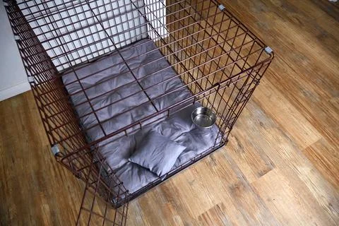 An empty cage for pets in an apartment. Stock Photos