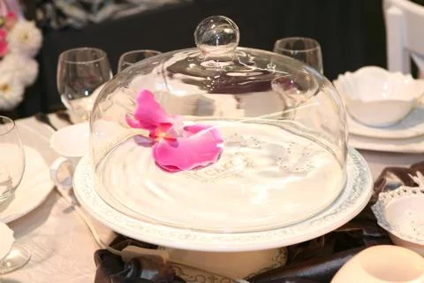 Empty cake container Stock Photos