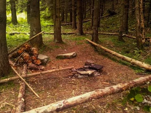 Empty camp stop with fireplace in deep forest Stock-Fotos