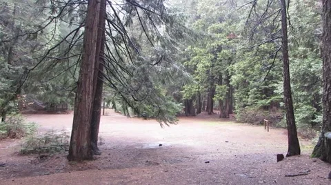 Empty Campground in the mountains Stock Footage 44281701