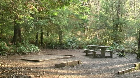 Empty Campground Olympic Peninsula 動画素材 70730021