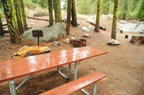 Empty campground Stockfoto's