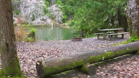Empty campground in winter Olympic Peninsula Wa. State Stock Footage 83737143