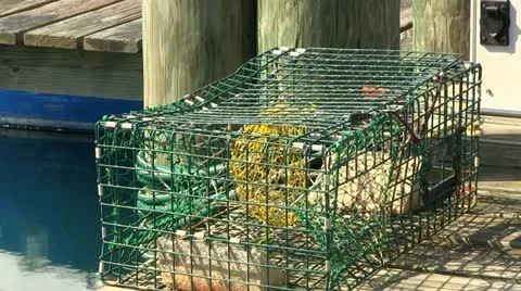 Empty cape cod lobster pot Video stock 10882144
