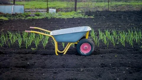 Empty car in the garden in the spring Foto stock