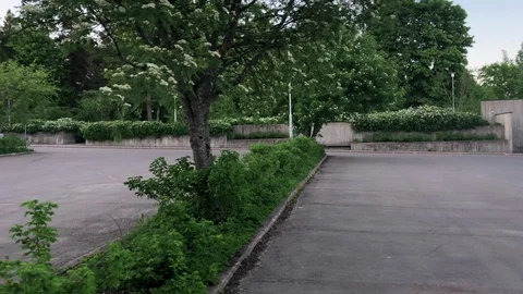 Empty car park surrounded by green trees Stock Footage 91120830