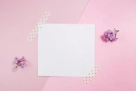 Empty card on pink background with small lilac flowers Stock Photos
