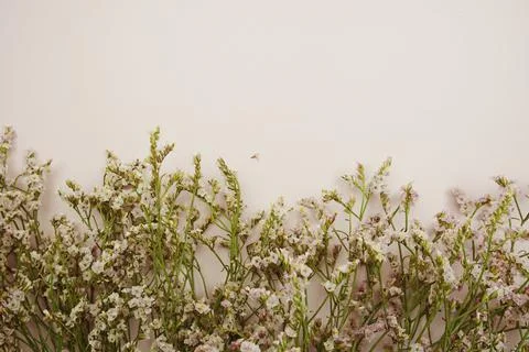 Empty card for text message and flower decoration on pink background Foto stock