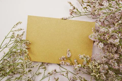 Empty card for text message and flower decoration on pink background Foto stock