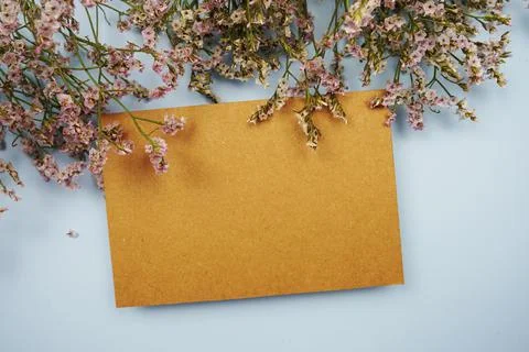 Empty card for text message and flower decoration on blue background Stock Photos