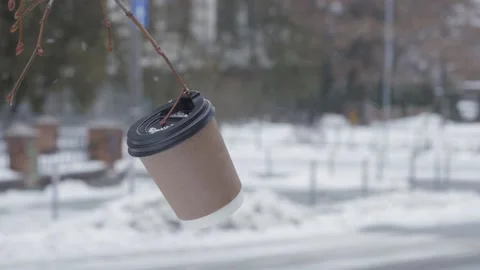 An empty cardboard cup with a coffee lid hangs on a tree branch in winter. Vídeos de archivo 169866338