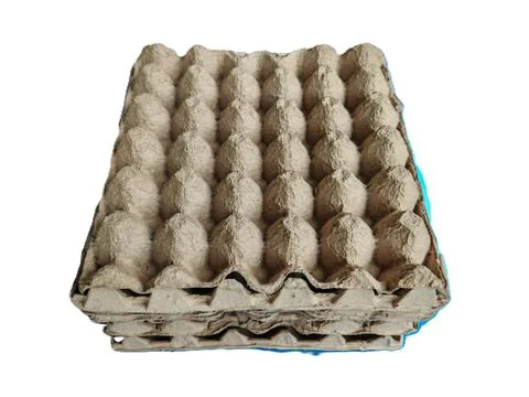 Empty Cardboard Egg Tray Isolated on White Background Stock Photos