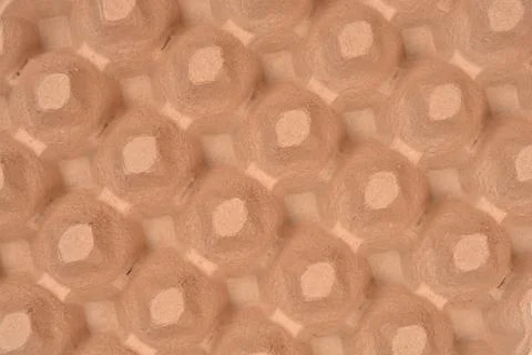 Empty cardboard egg tray texture Foto stock