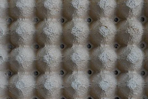 Empty Cardboard Egg Tray Texture and Pattern Stock Photos