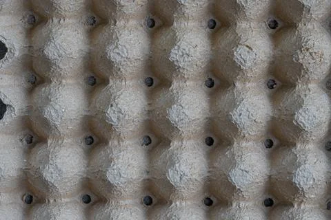 Empty Cardboard Egg Tray Texture and Pattern Stock Photos