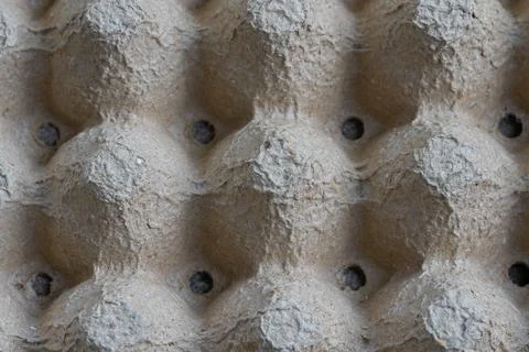Empty Cardboard Egg Tray Texture and Pattern Stock Photos