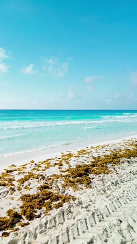 Empty Caribbean beach and clear turquoise water from above 스톡 동영상 342090277