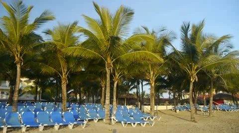 Empty Caribbean resort Stock Footage 20558036