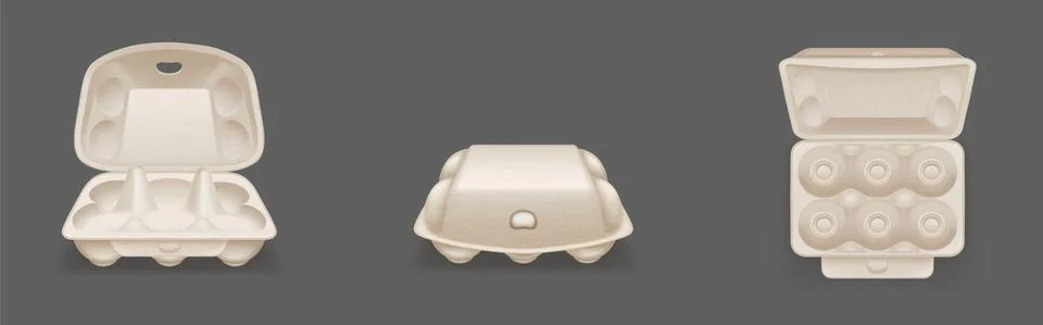 Empty carton egg tray, blank box package mockup Stock Illustration