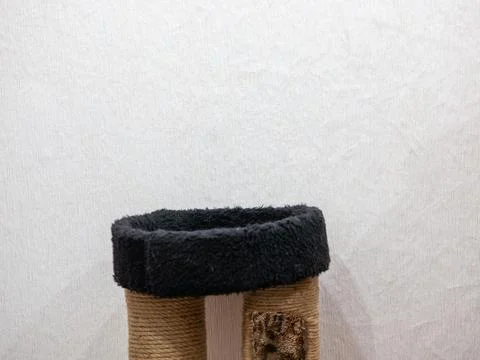 Empty Cat Tree Stand with Copy Space Stock Photos