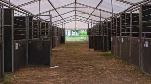 Empty Cattle Boxes in Temporary Stables Tent Barn During Cattle Market Fair Day Video stock 278727727