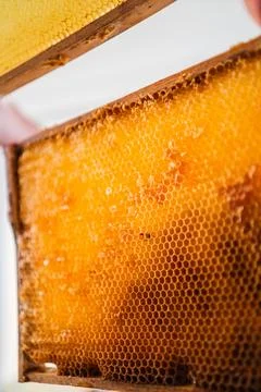 Empty Cells of Honeycombs of a Beehive Close Up Stock Photos