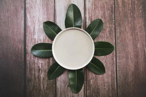 Empty ceramic beige plate surrounded by green leaves Foto stock