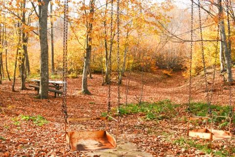 Empty chain swing in playground at fall Stock Photos