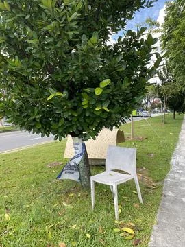 Empty chair under the tree Stock Photos