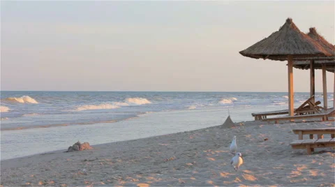 Empty chairs under thatched umbrellas on a sandy beach Stock Footage 67473361