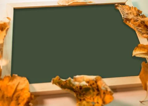 Empty chalk board Stock Photos