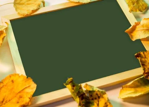 Empty chalk board Stock Photos