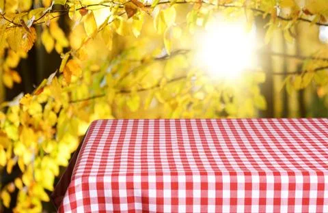 Empty checkered table background Stock Photos