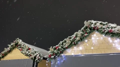 Empty christmas background. Christmas tree backdrop. Stock Footage 317628559