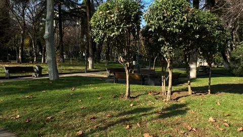 Empty City Green Park Stock Footage 259069838