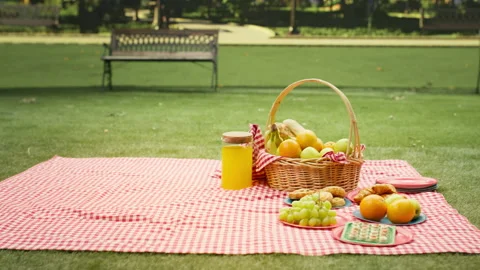 Empty city park with blanket and picnic basket on grass Stock Footage 341411798