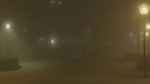Empty city park at night in dense fog and haze Stock Footage 323384643