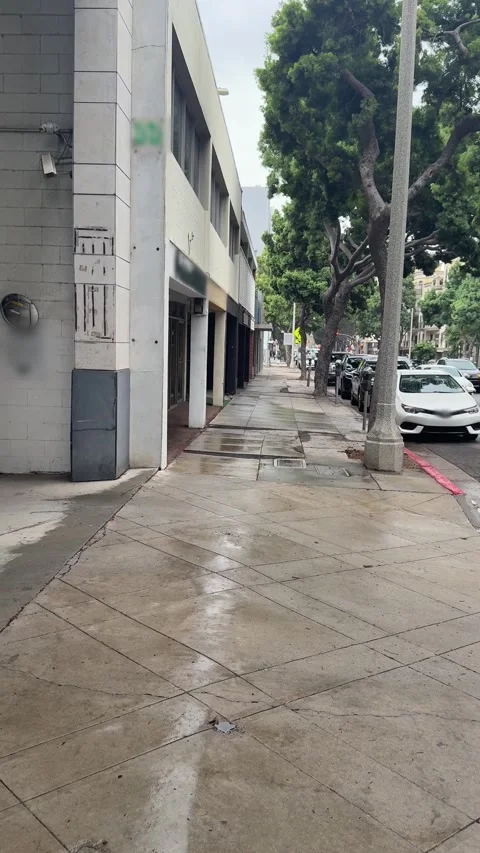 Empty city street with trees and wet sidewalk under overcast sky Stock Footage 345382257