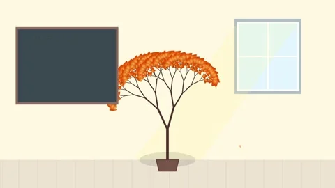 Empty classroom with blackboard, window, and spotlight on floor - minimalis.. Video stock 347561370