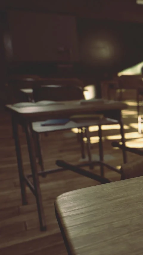 Empty classroom shows desks and chairs at late evening time Stock Footage 333564633