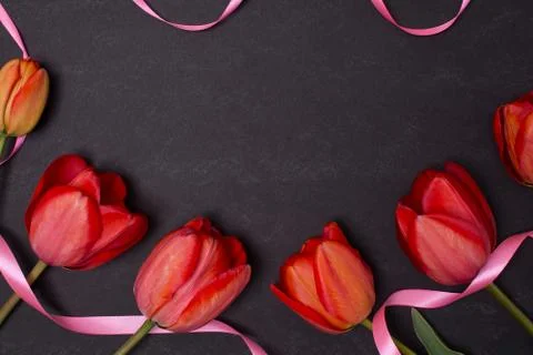 Empty clean black chalkboard with red tulips and ribbons Stock Photos