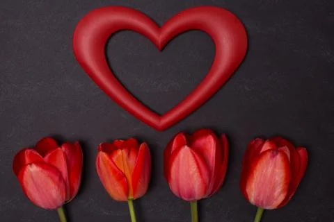 Empty clean black chalkboard with red tulips and heart frame Stock Photos