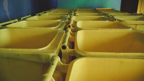 Empty clean trash bins washed Stock Footage 105371816