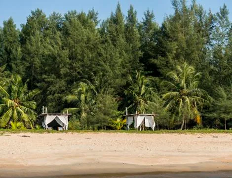Empty Clean White Sand Beach with Palm Trees in Thailand, Samui Stock Photos