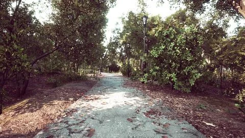 Empty closed park as prevention from coronavirus Covid-19 disease Ilustração Stock