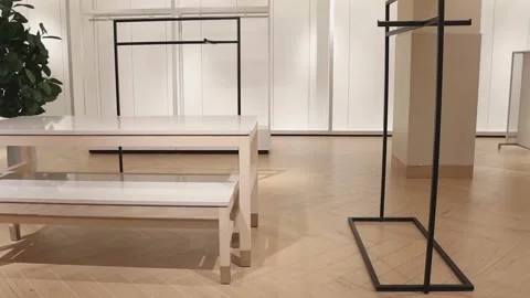 Empty clothing store. Empty racks. Crisis, empty store. 스톡 동영상 228996943