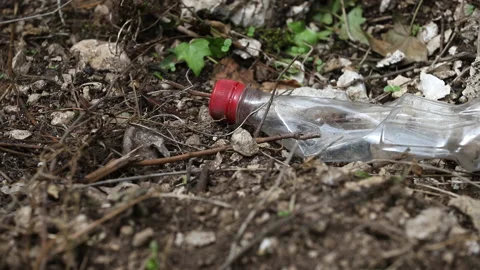Empty Coca Cola bottle left in the underbrush for an environmental concept Video stock 154265709